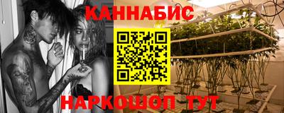 гашик Бийск