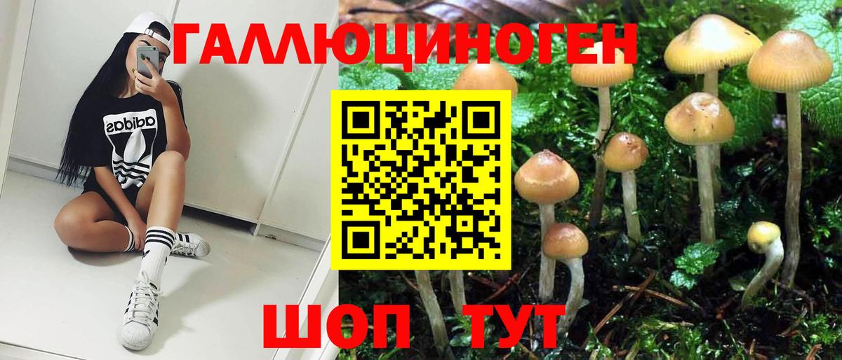 Псилоцибиновые грибы GOLDEN TEACHER  Вход с VPN  Волгоград 